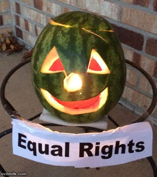 Awesome Pumpkins Picdump 2