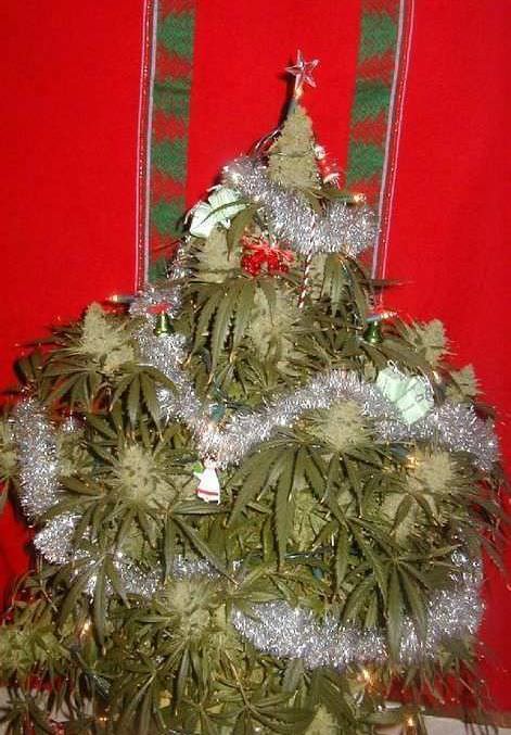 Awsome Xmas Tree