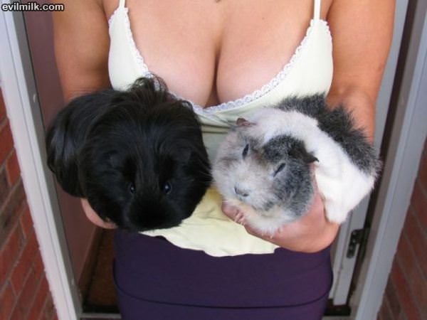 Aww How Cute