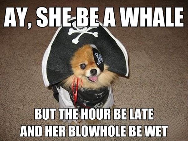 Ay