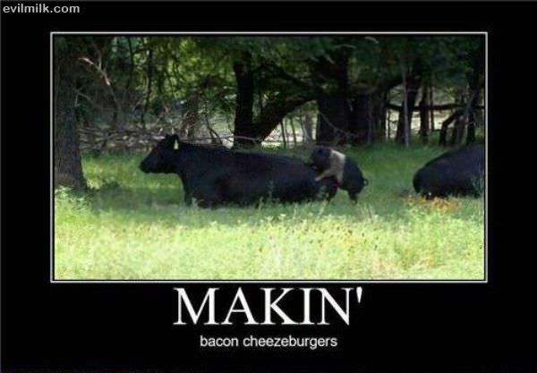 Bacon Cheeseburgers