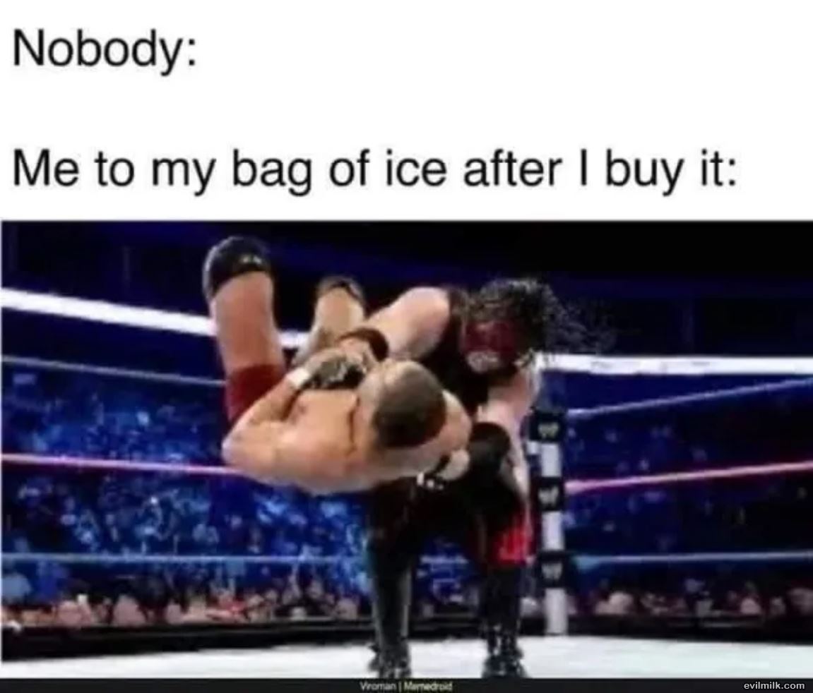 Bag Of Ice
