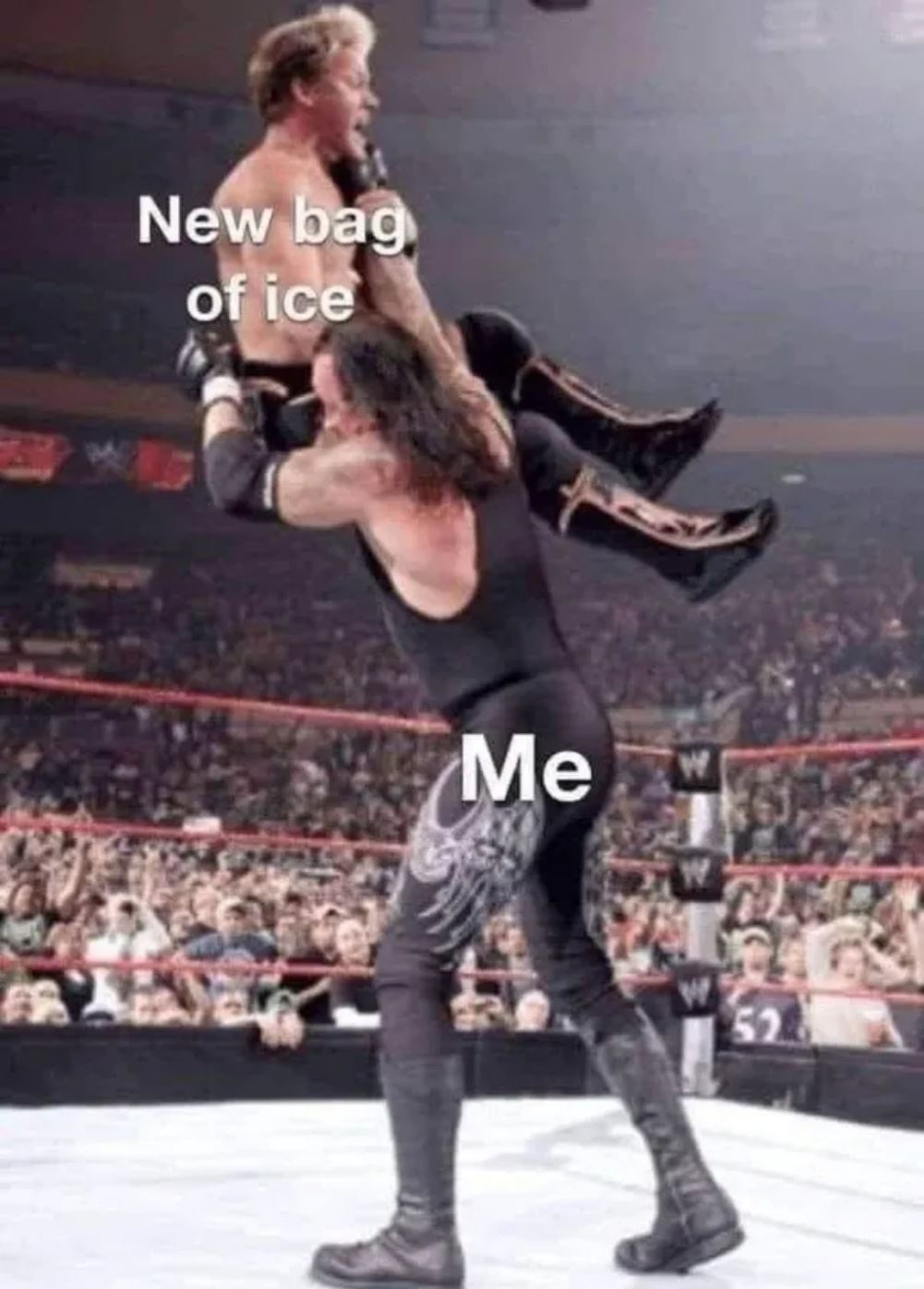 Bag Of Ice