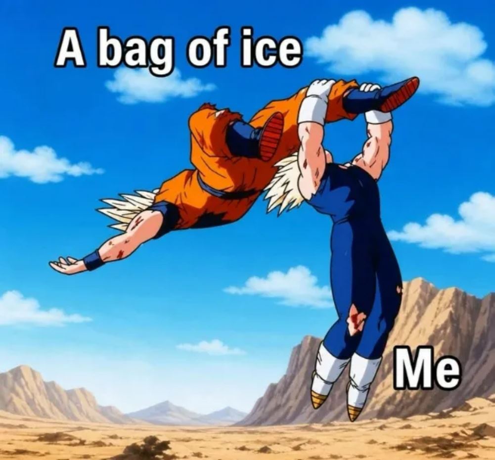 Bag Of Ice
