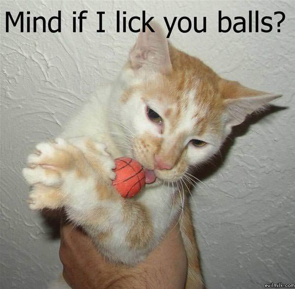 Ball Licking