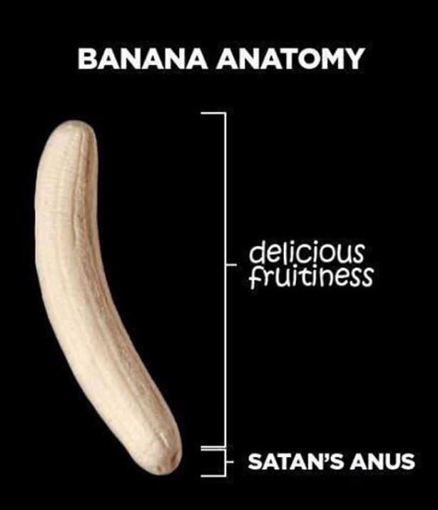 Banana Anatomy