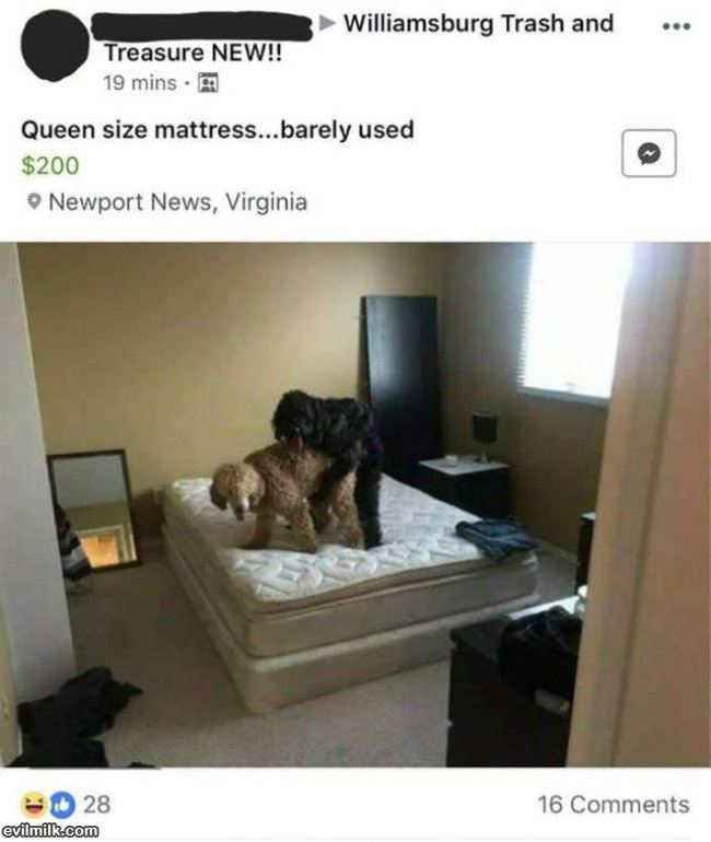 Barely Used