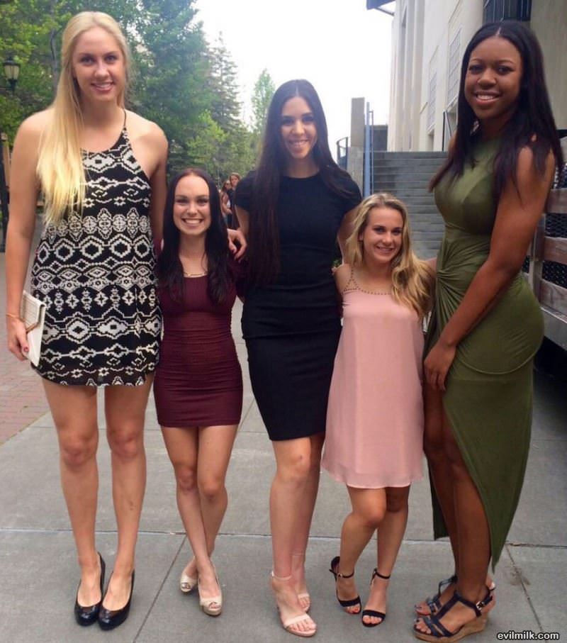 Basketball Vs Cheerleading