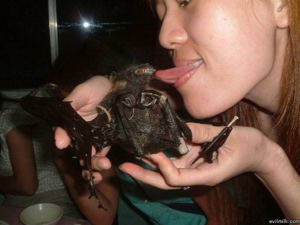Bat Licker