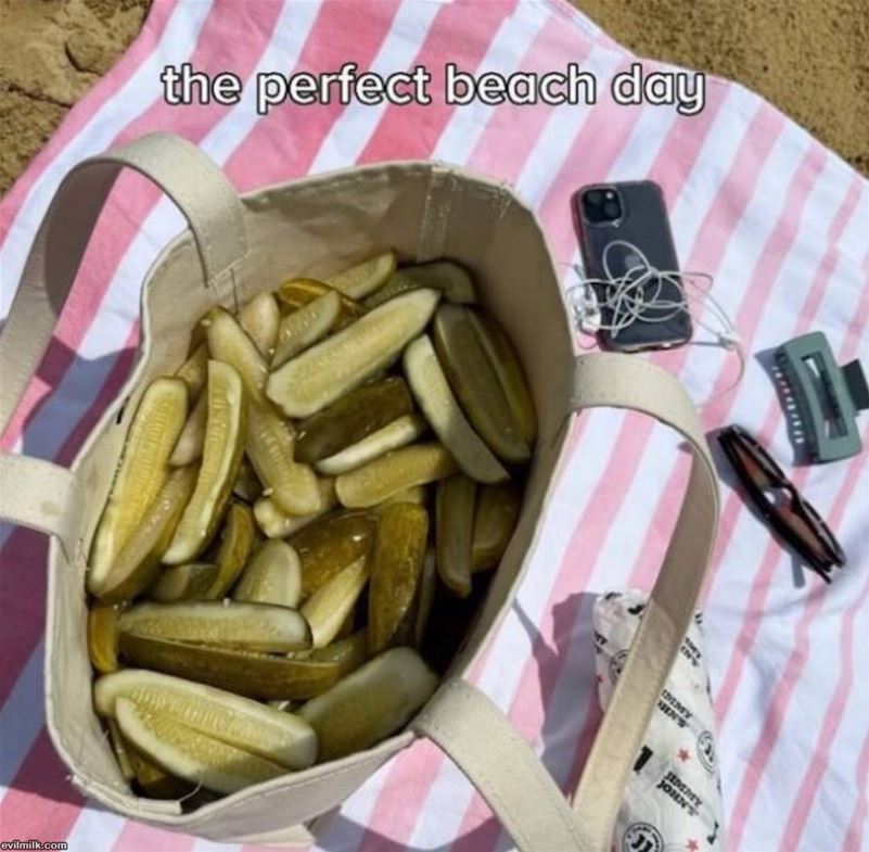 Beach Day