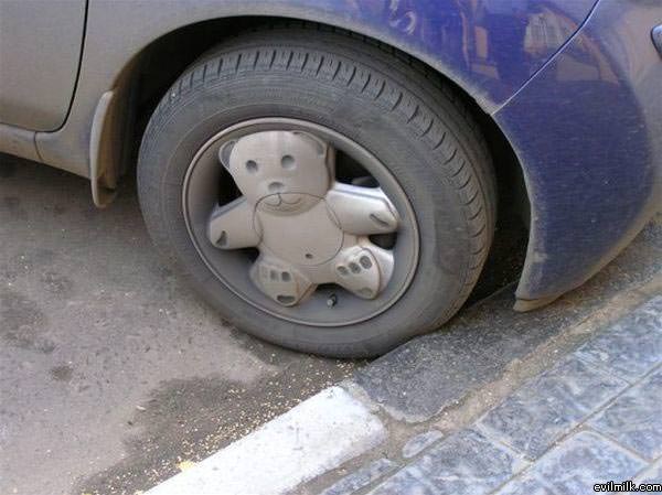 Bear-rims