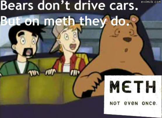 Bears On Meth