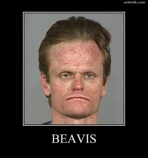 Beavis