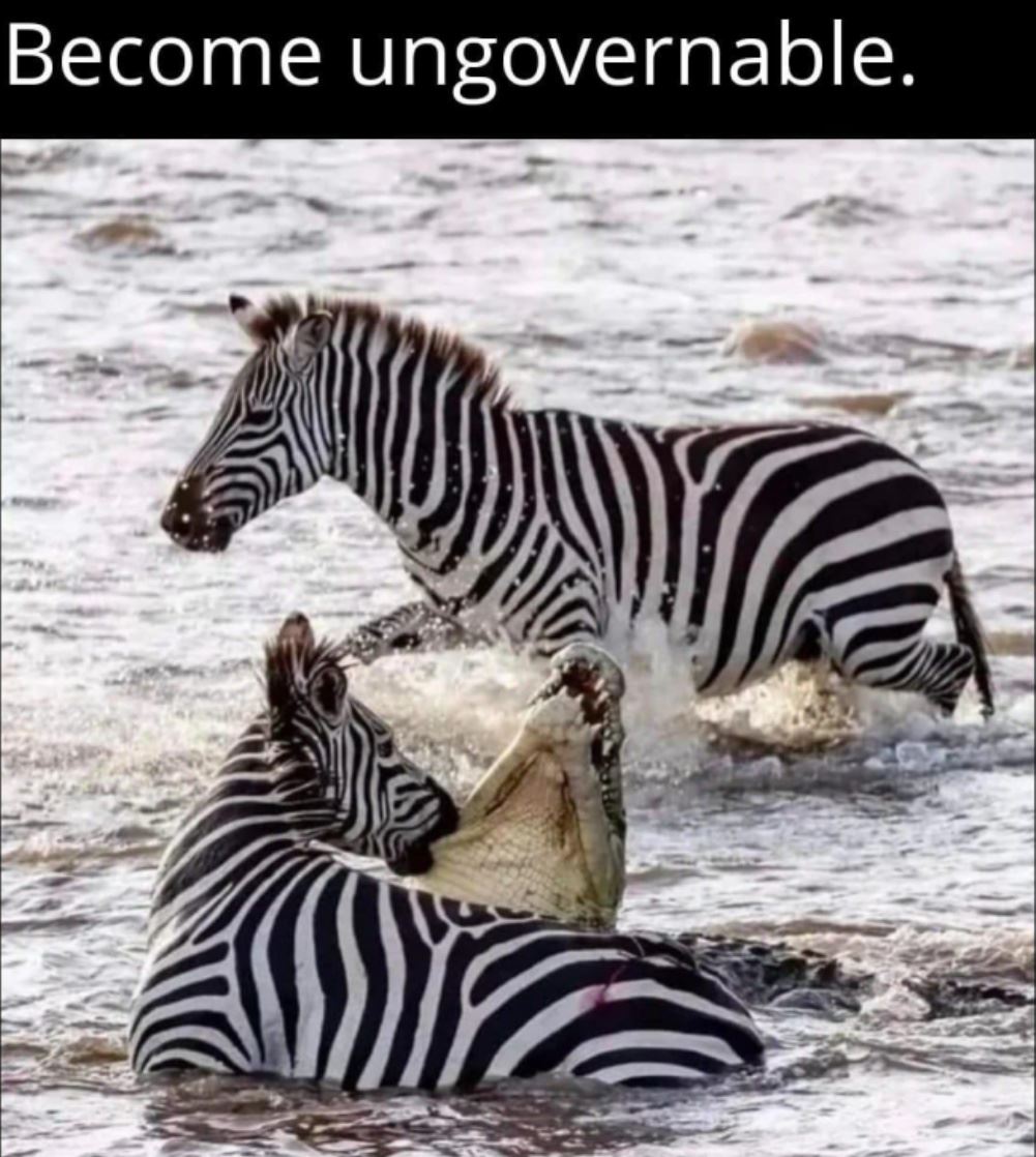 Become