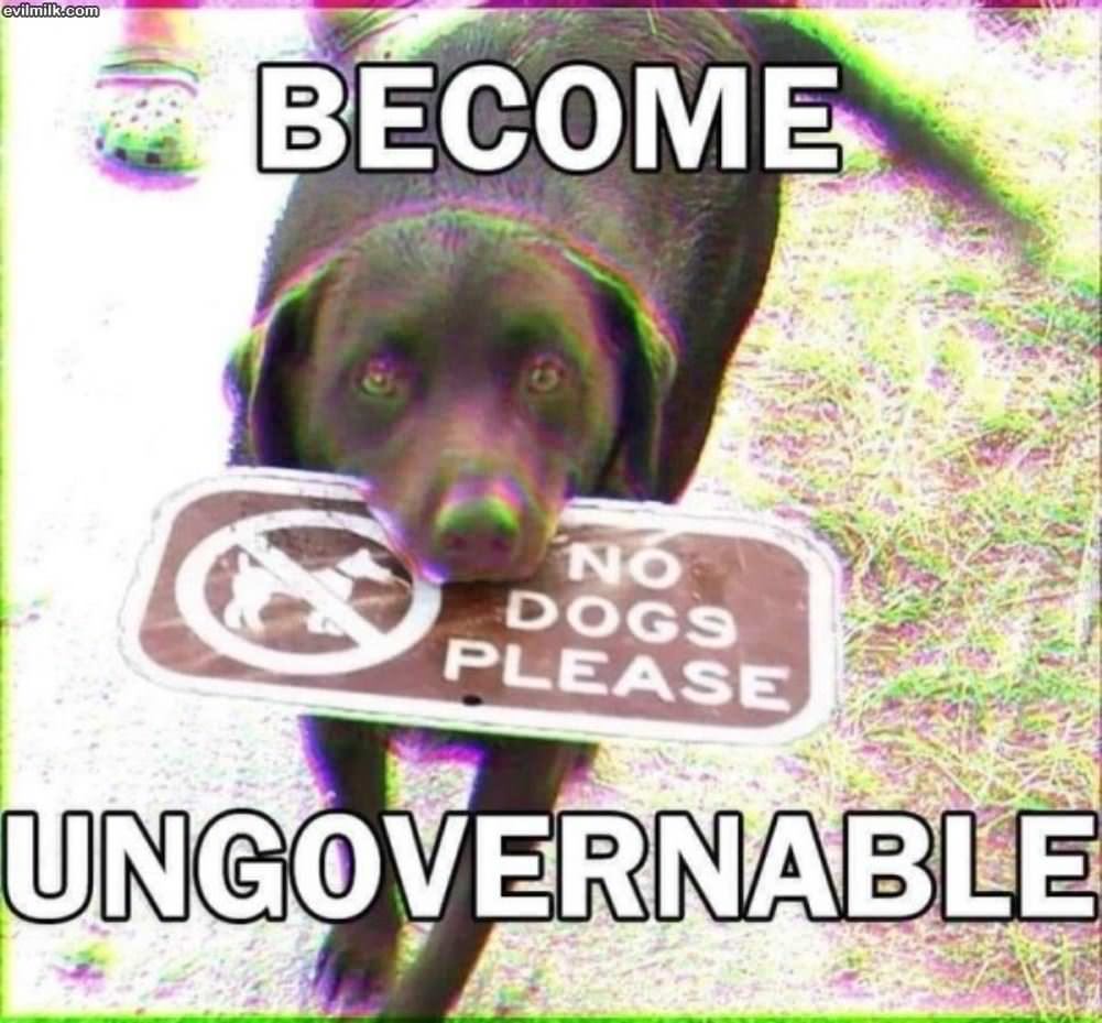 Become Ungovernable