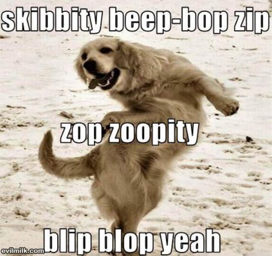 Beep Bop