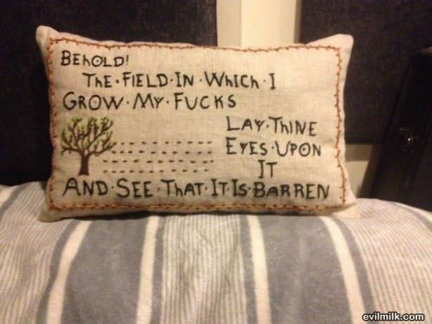 Behold