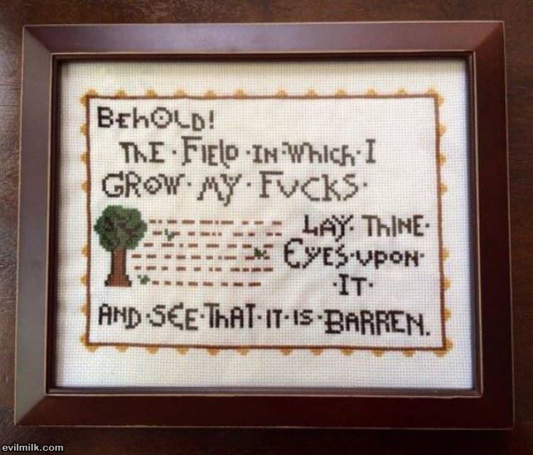 Behold