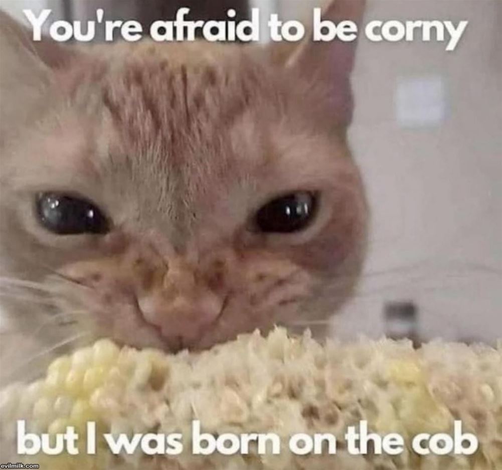 Being Corny