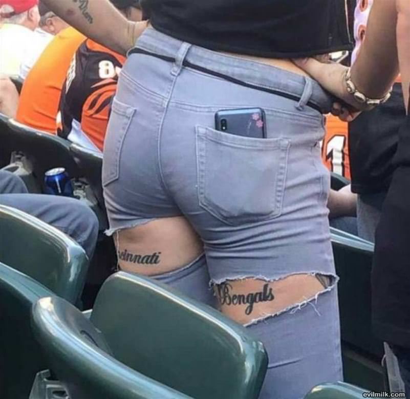 Bengals Fan