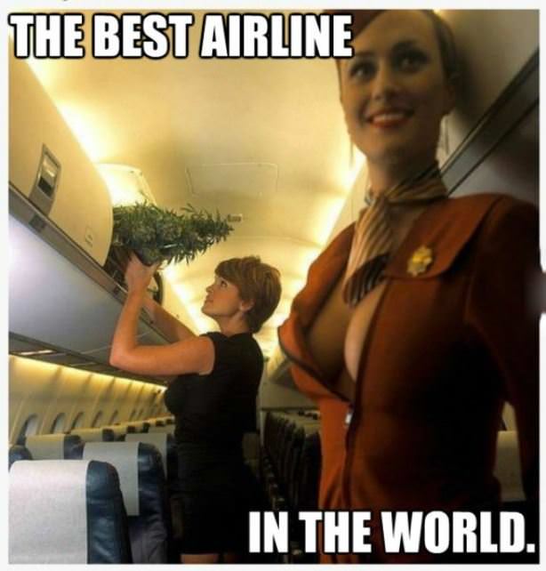 Best Airline In The World