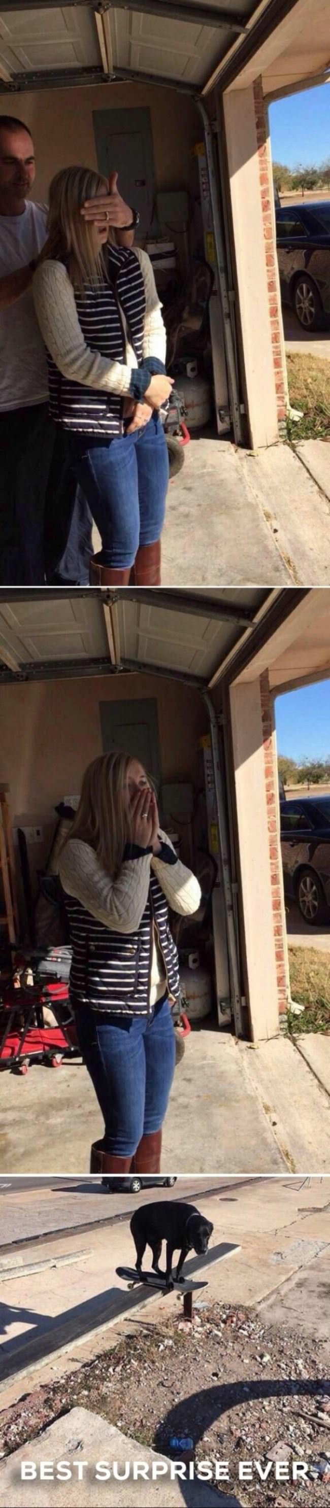 Best Surprise Ever