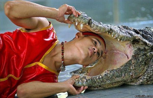 Bet The Gator Wins
