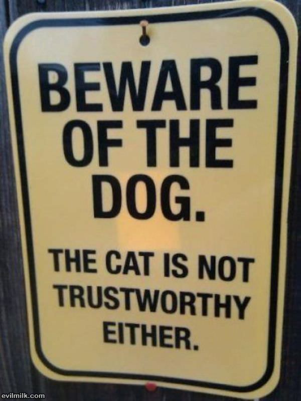 Beware Of The Dog