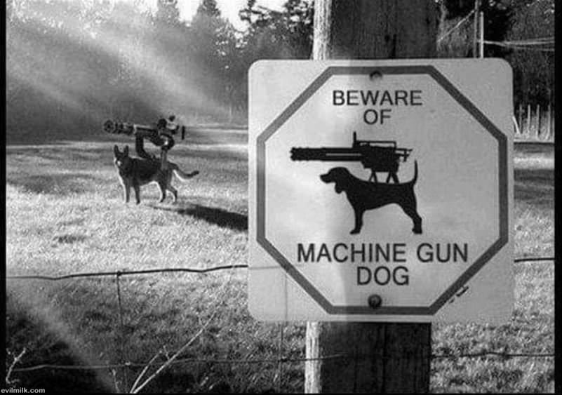 Beware Of The Dog