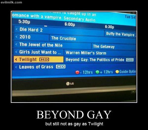 Beyond Gay