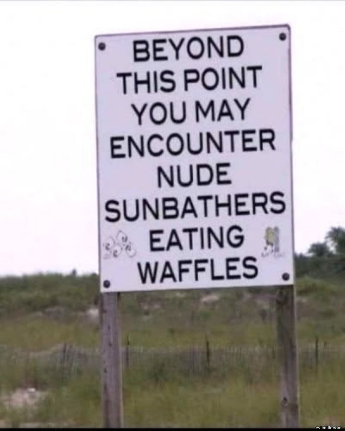 Beyond This Point