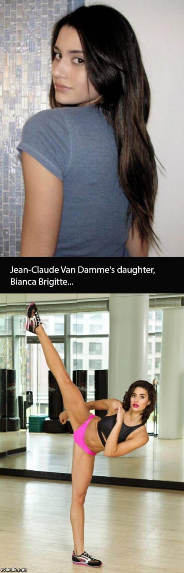 Bianca Brigitte
