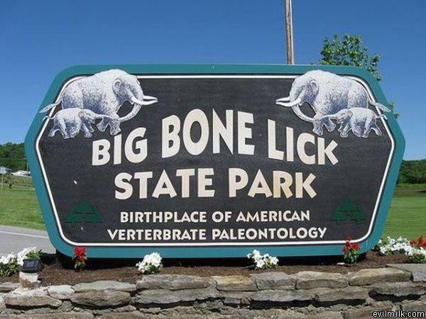 Big Bone Lick
