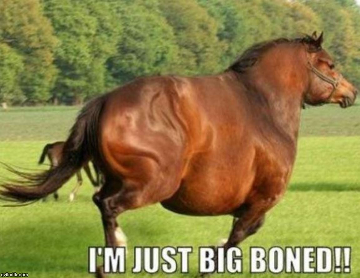 Big Boned
