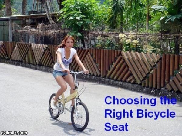 Bike Seat