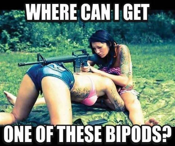 Bipod