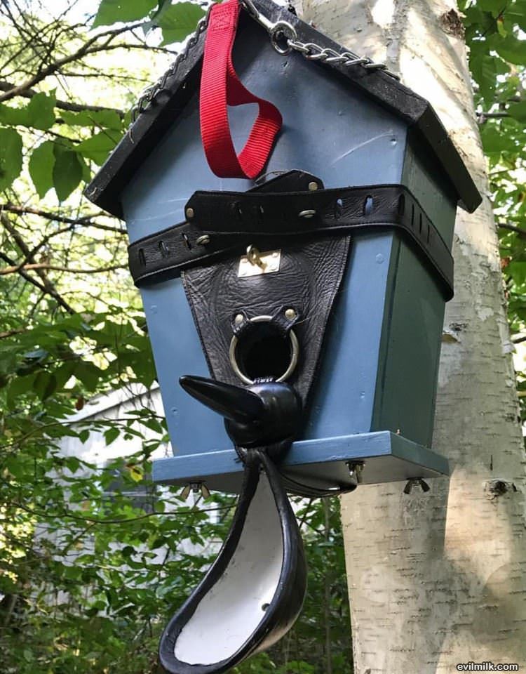 Bird House