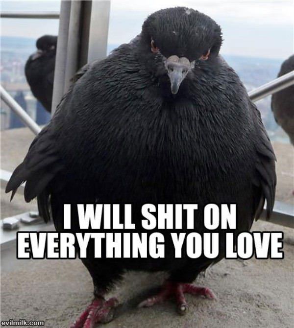 Bird Means Business