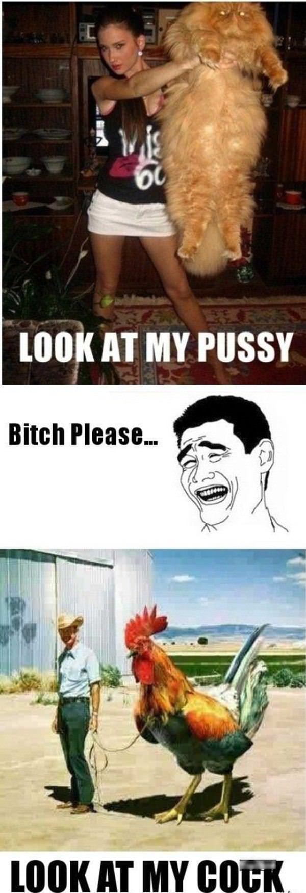 Bitch Please