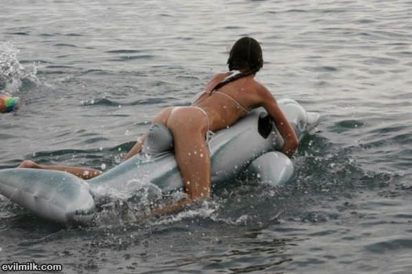 Blow Up Dolphin