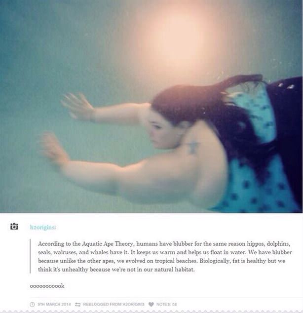 Blubber Logic