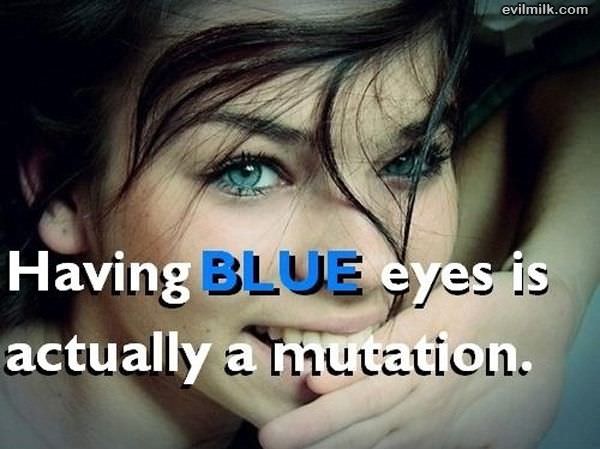 Blue Eyes