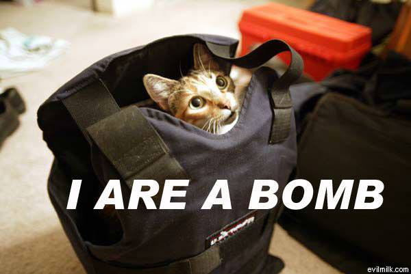 Bomb