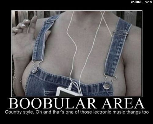 Boobular Area