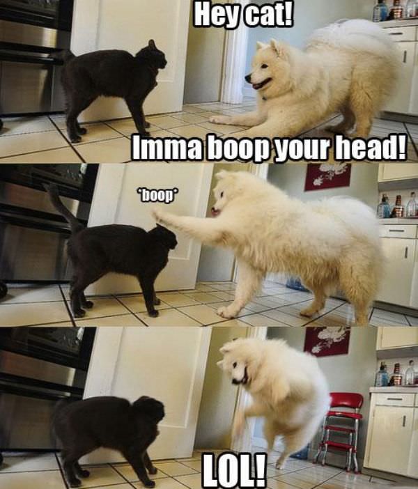 Boop