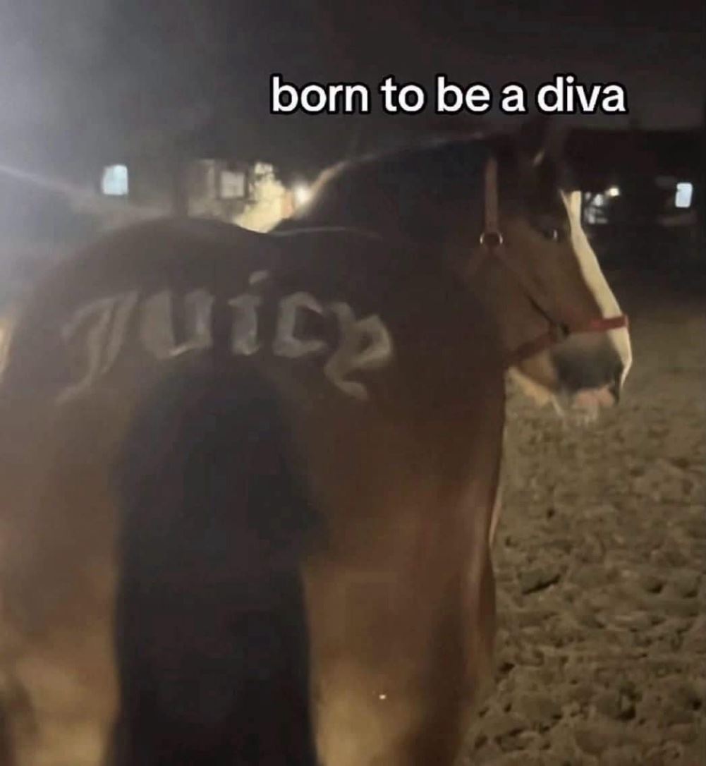 Born To Be