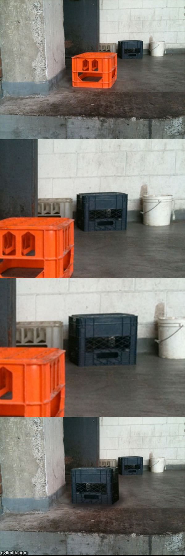 Boxes