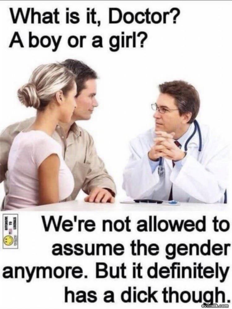 Boy Or A Girl