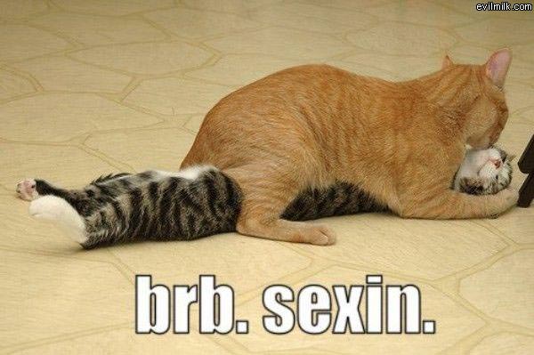 Brb Sexin