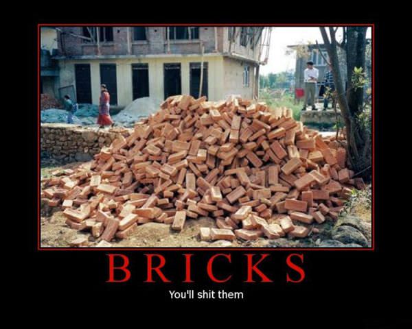 Bricks
